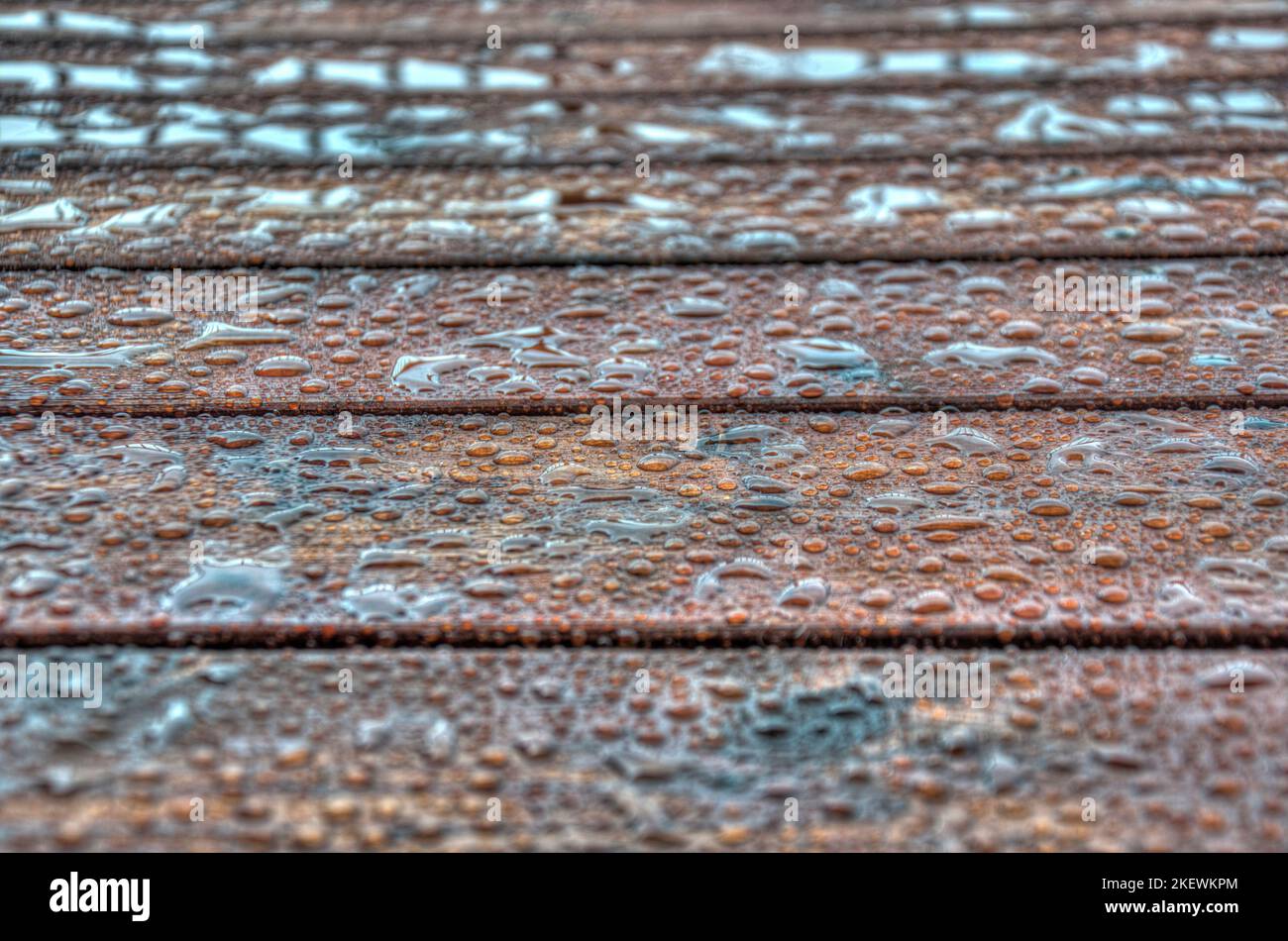 Water beading up on a freshly stained wooden deck Stock Photo Alamy
