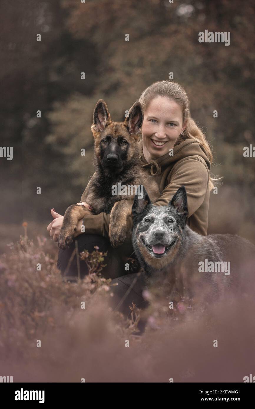 woman and 2 dogs Stock Photo