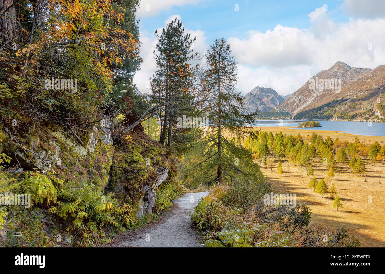 Autumn landscape at Lake Sils, Upper Engadine, Switzerland Stock Photo