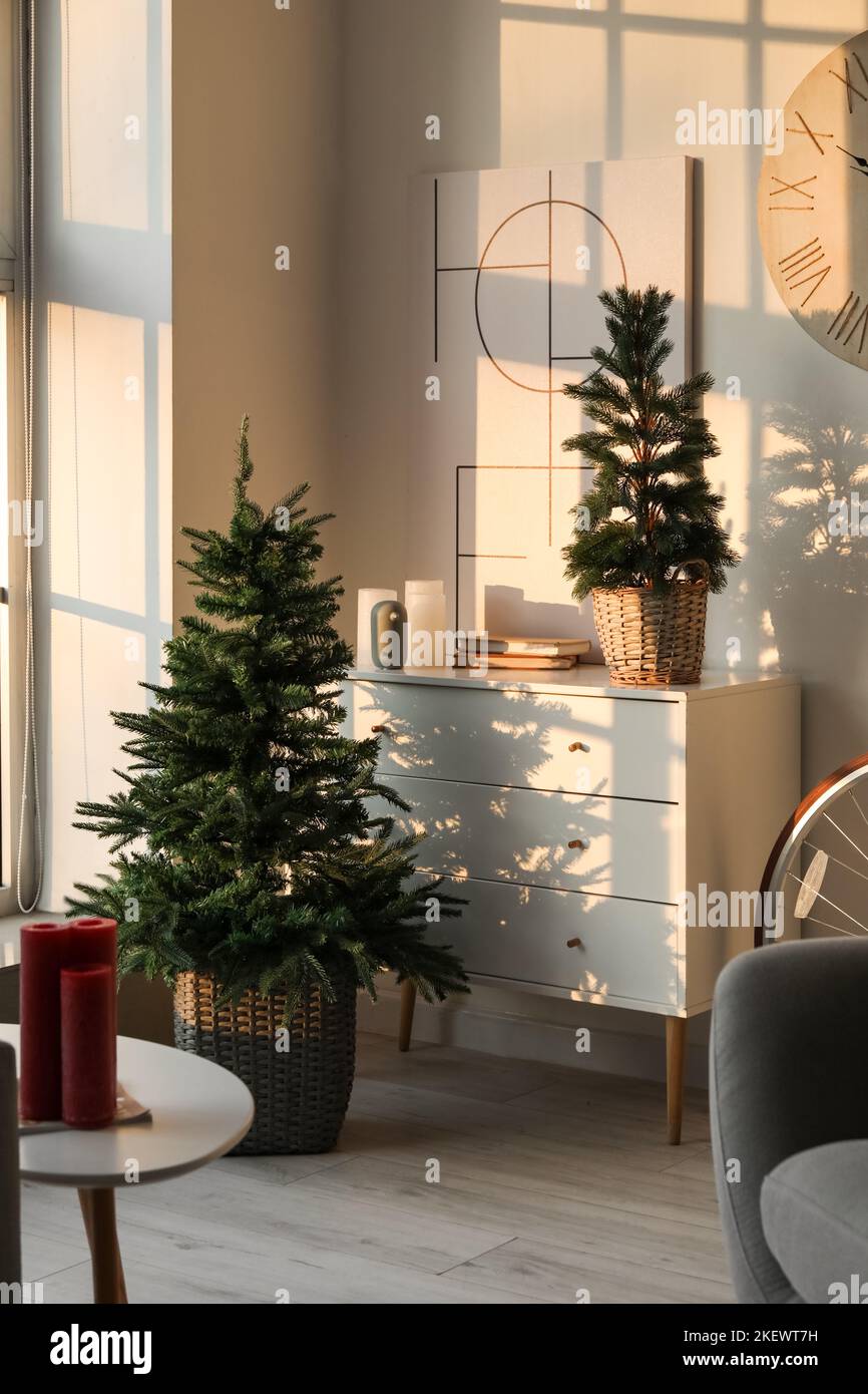 Chest of drawers with small fir trees in living room Stock Photo