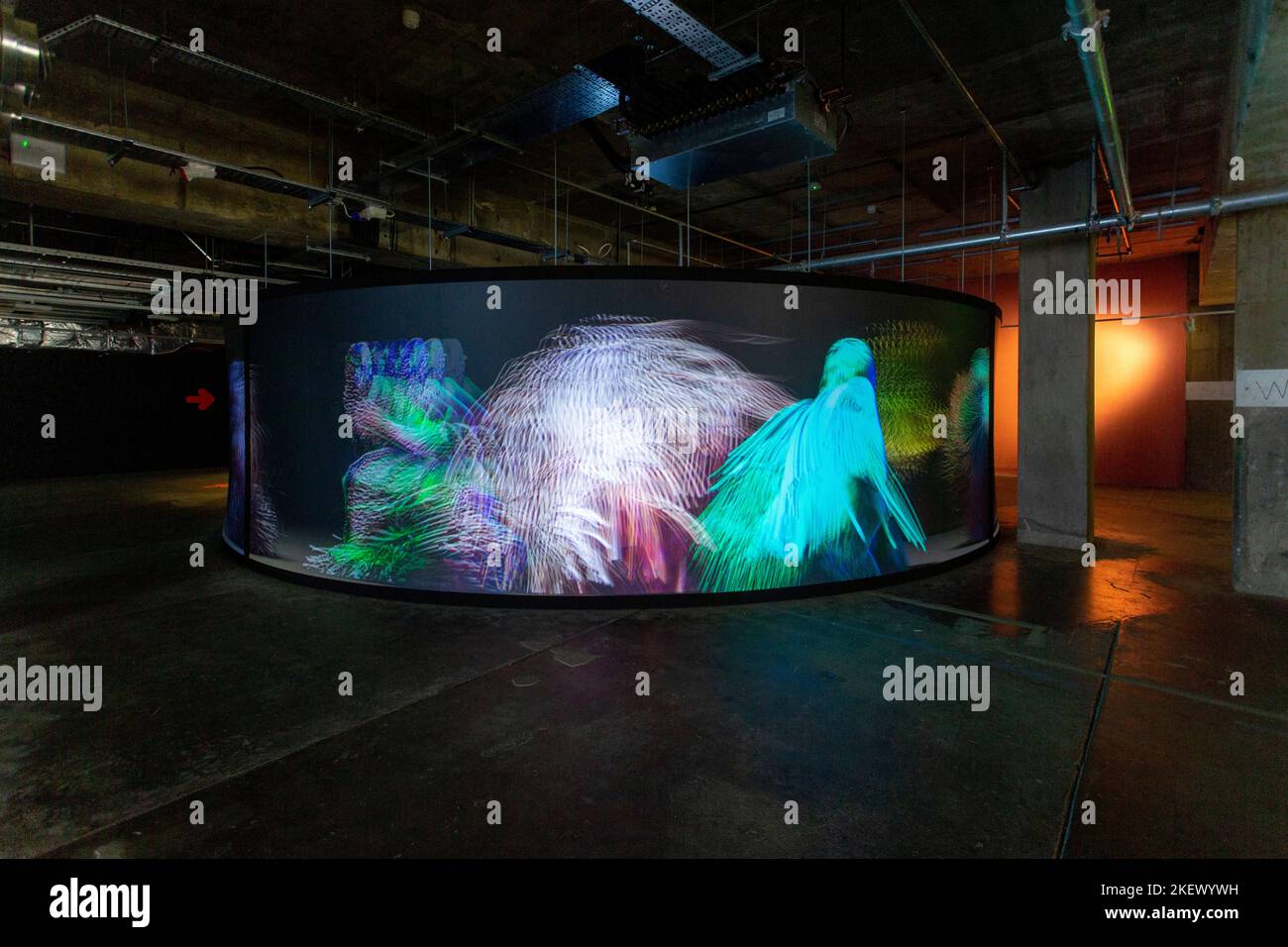 An endless parade of colourful, abstract and hairy characters, Infinity