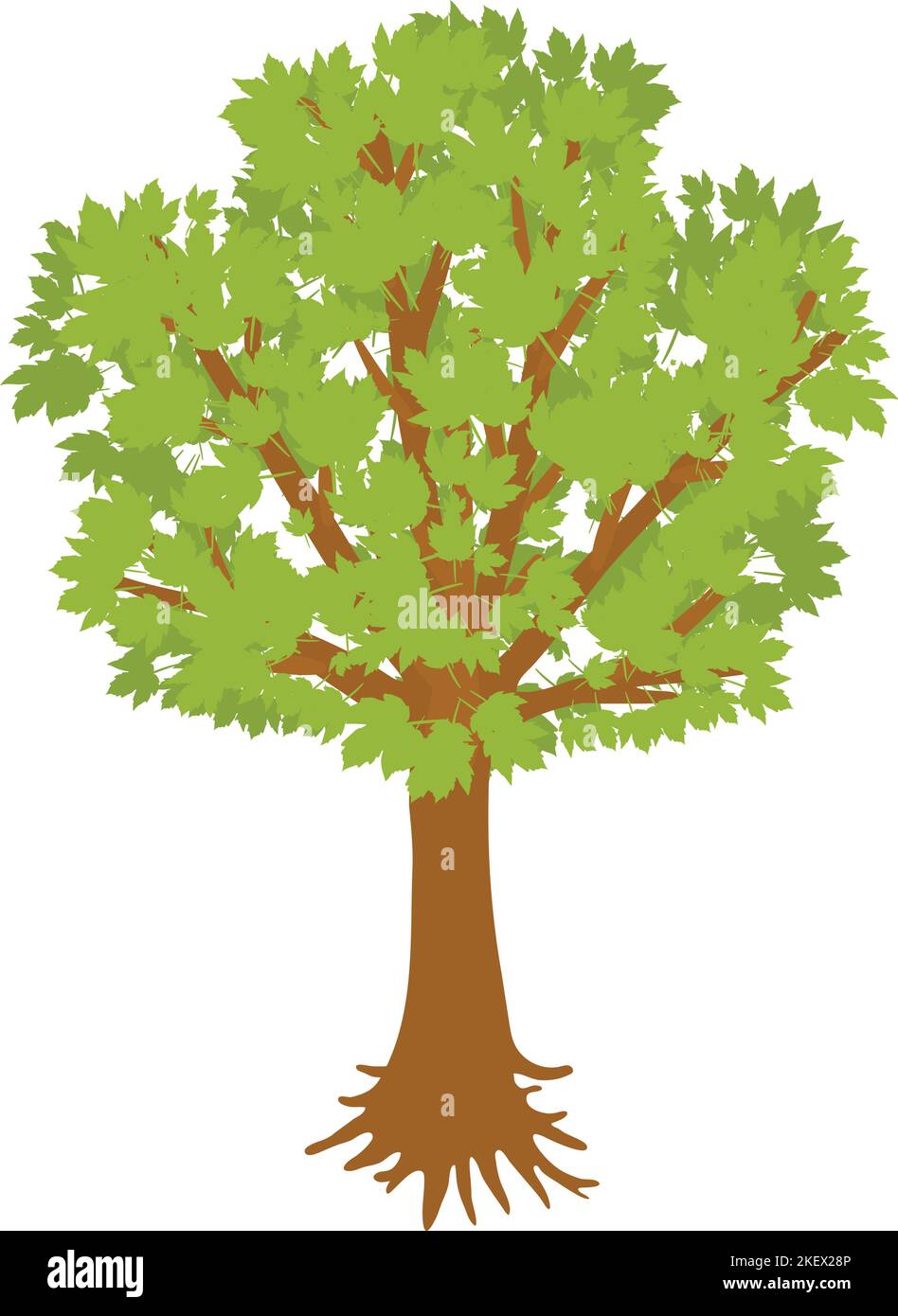 Yellow maple icon isometric vector. Yellowing freestanding deciduous