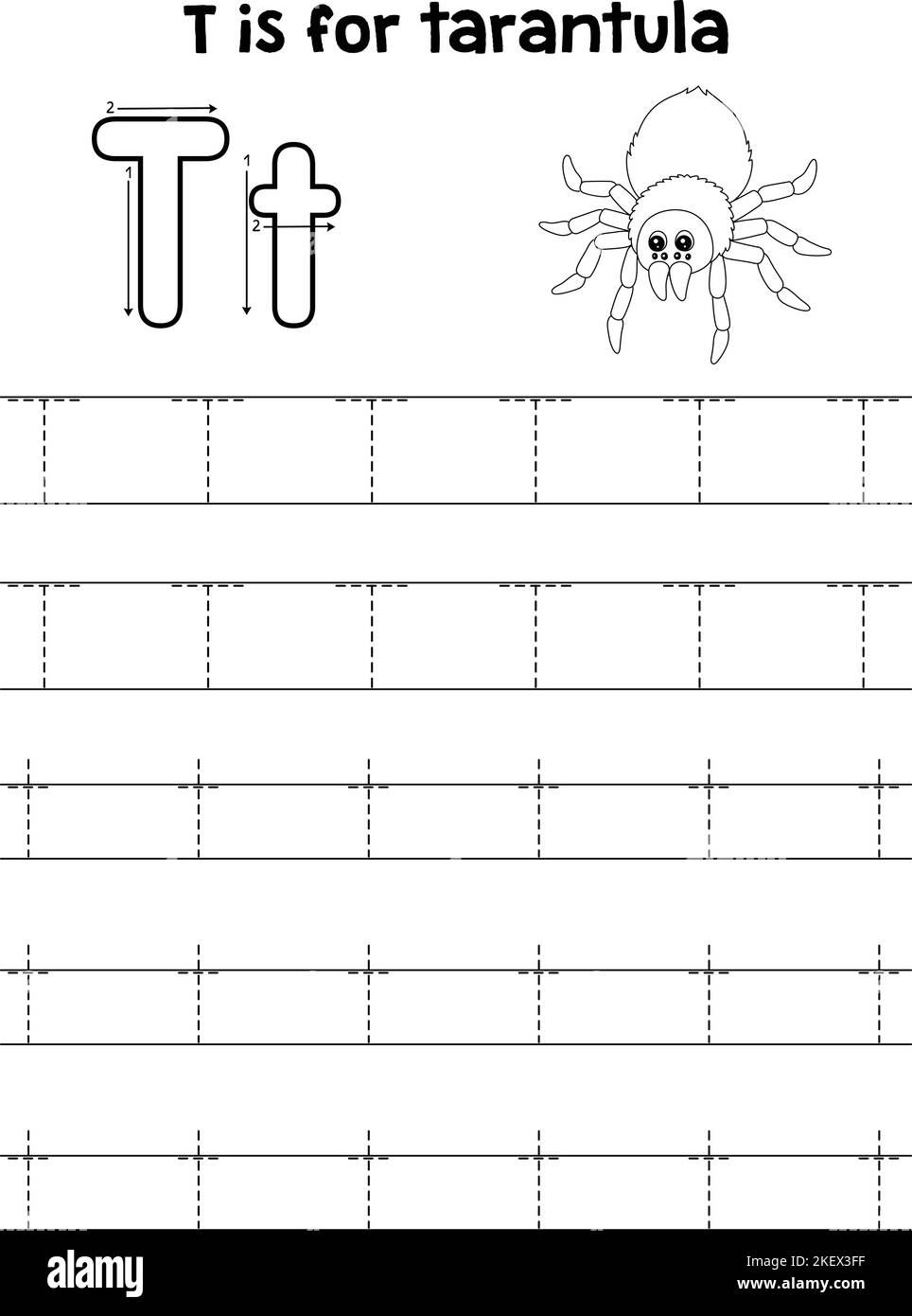 Tarantula Animal Tracing Letter ABC Coloring T Stock Vector