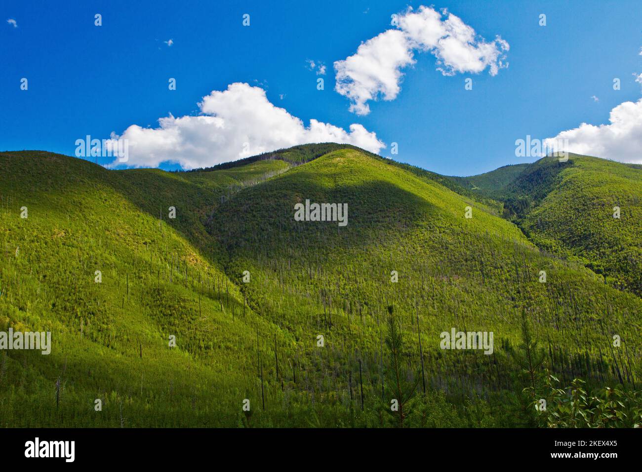 Green Mountain with Clouds and Blue Sky Stock Photo - Alamy