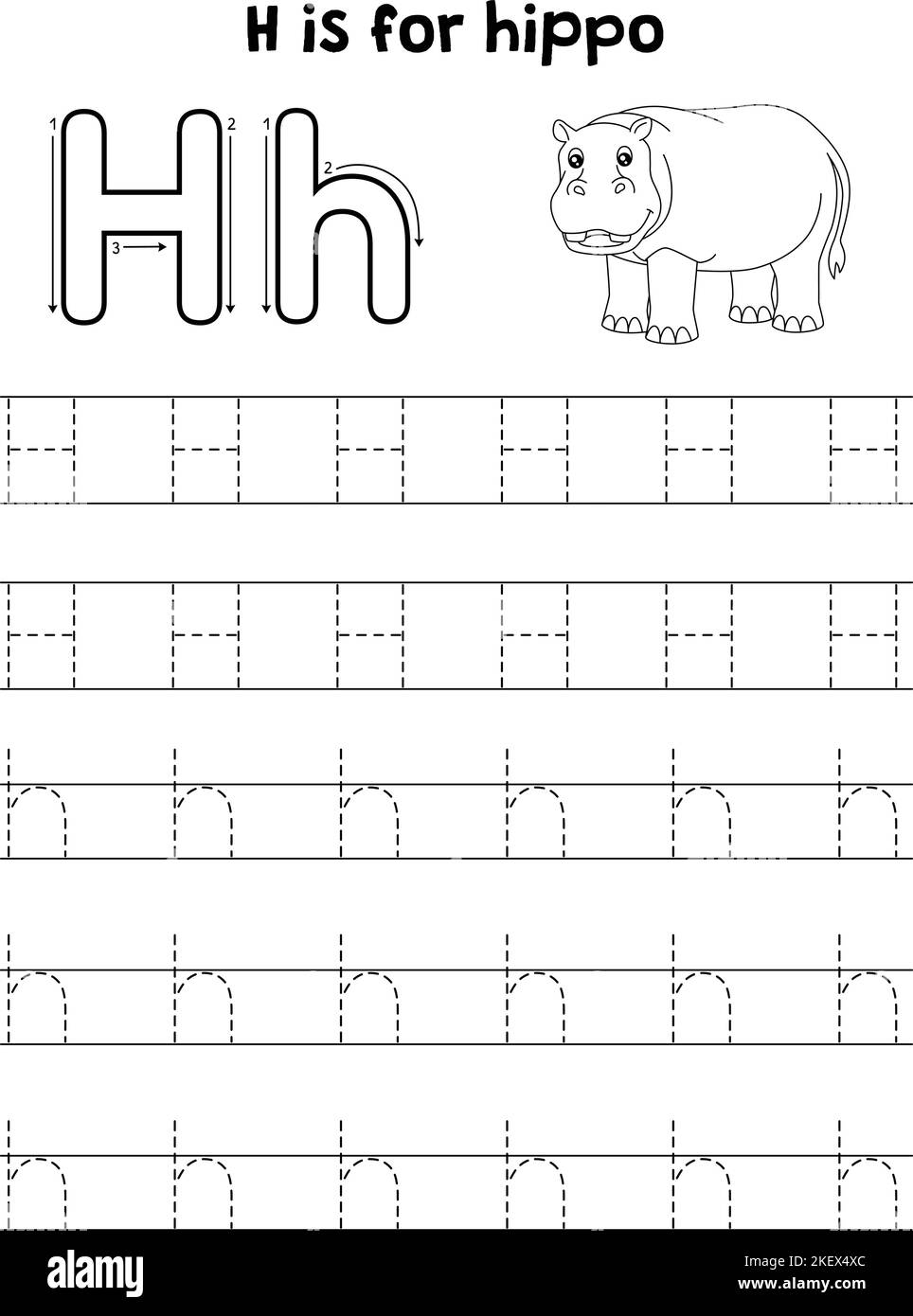 Hippo Animal Tracing Letter ABC Coloring Page H Stock Vector