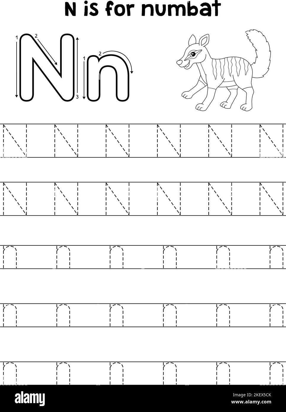 tracing-letter-n-hi-res-stock-photography-and-images-alamy