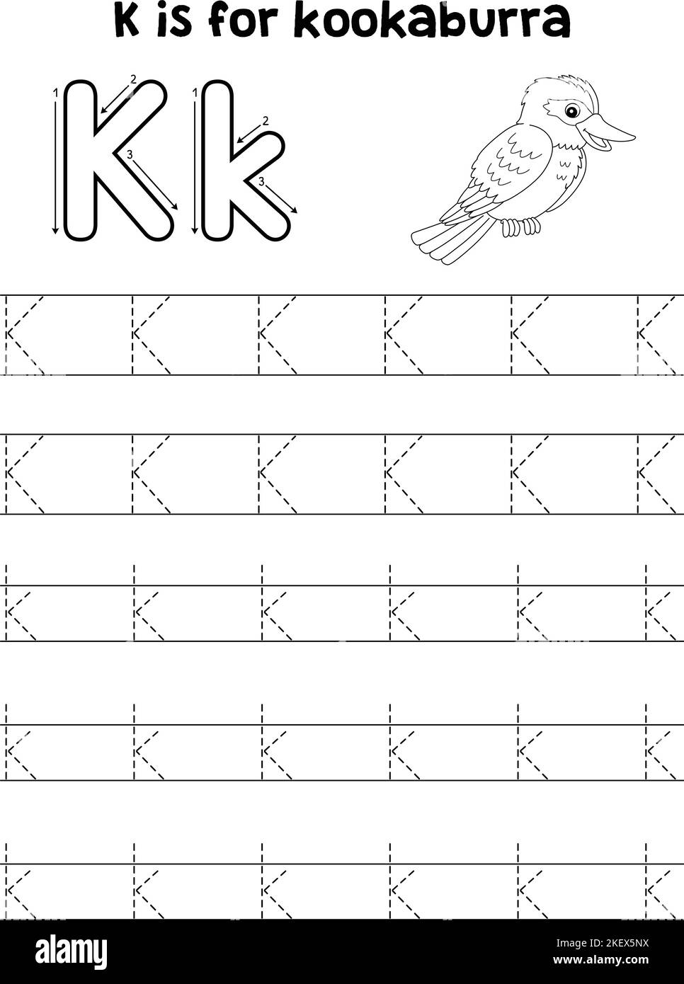 Kookaburra Animal Tracing Letter ABC Coloring K Stock Vector