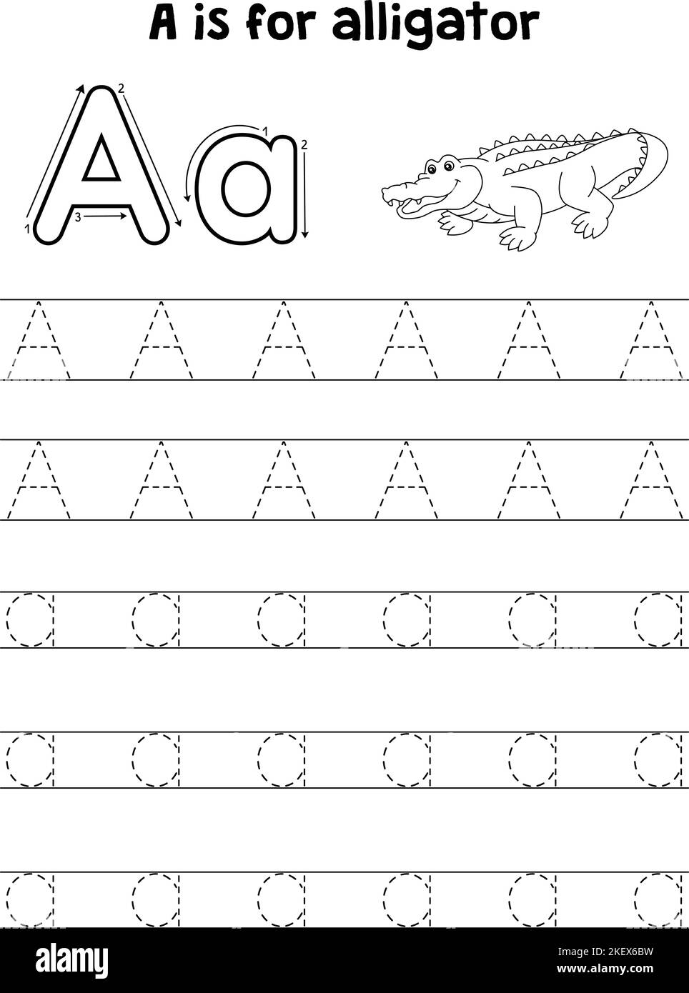 Alligator Animal Tracing Letter ABC Coloring A Stock Vector
