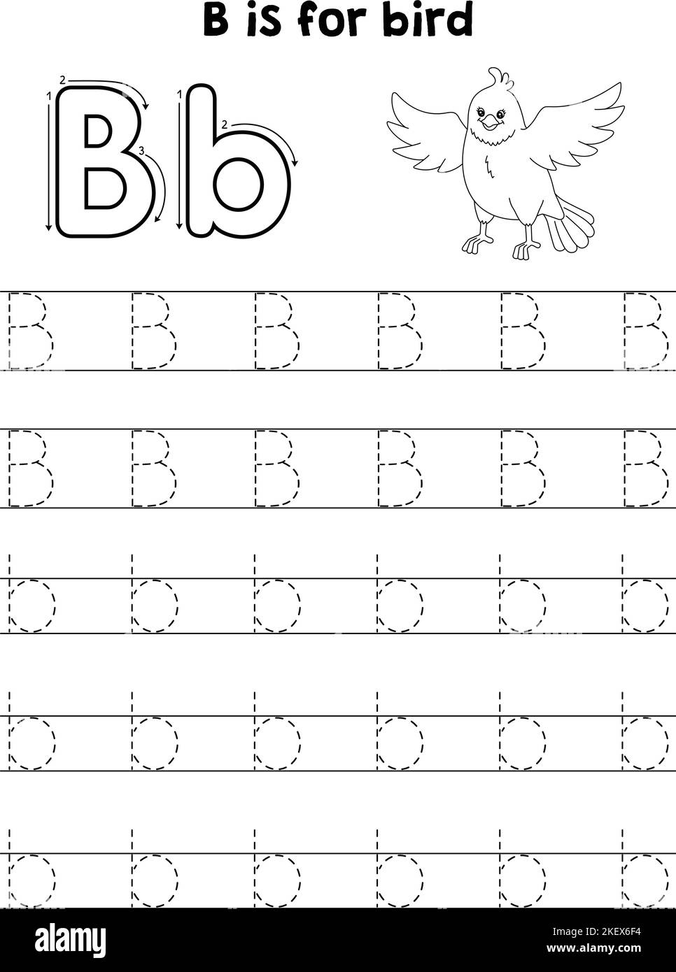 Bird Animal Tracing Letter ABC Coloring Page B Stock Vector