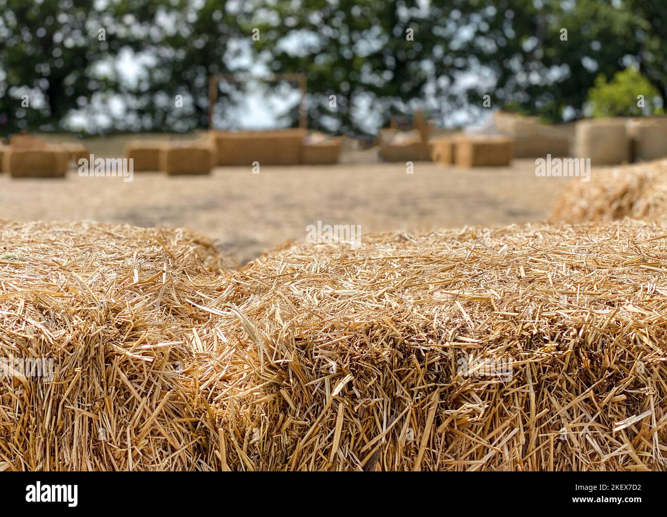 Hay in a bale in a sunny day closeup. Food product for farm animals