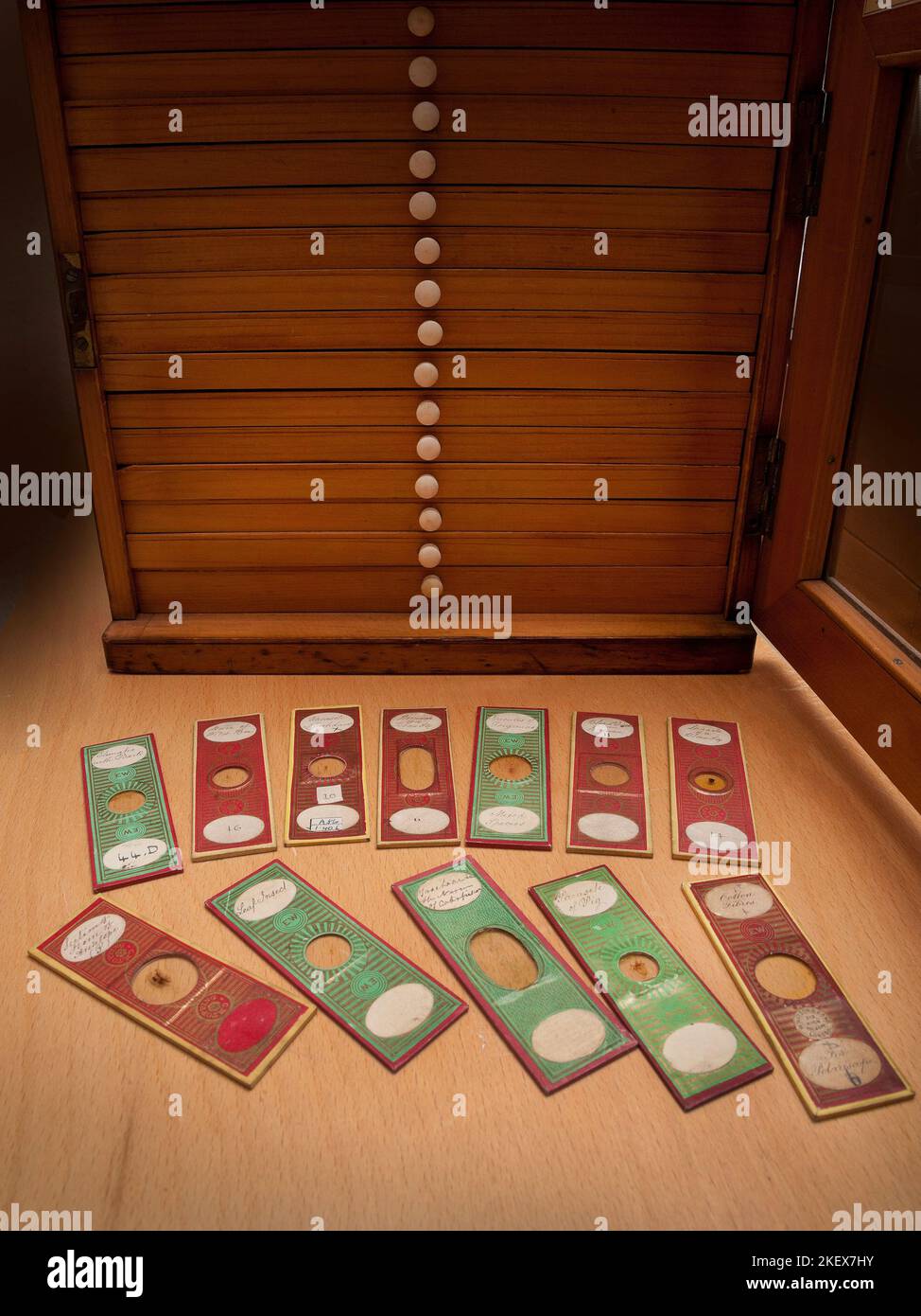 Victorian microscope slides, paper covered from a slide