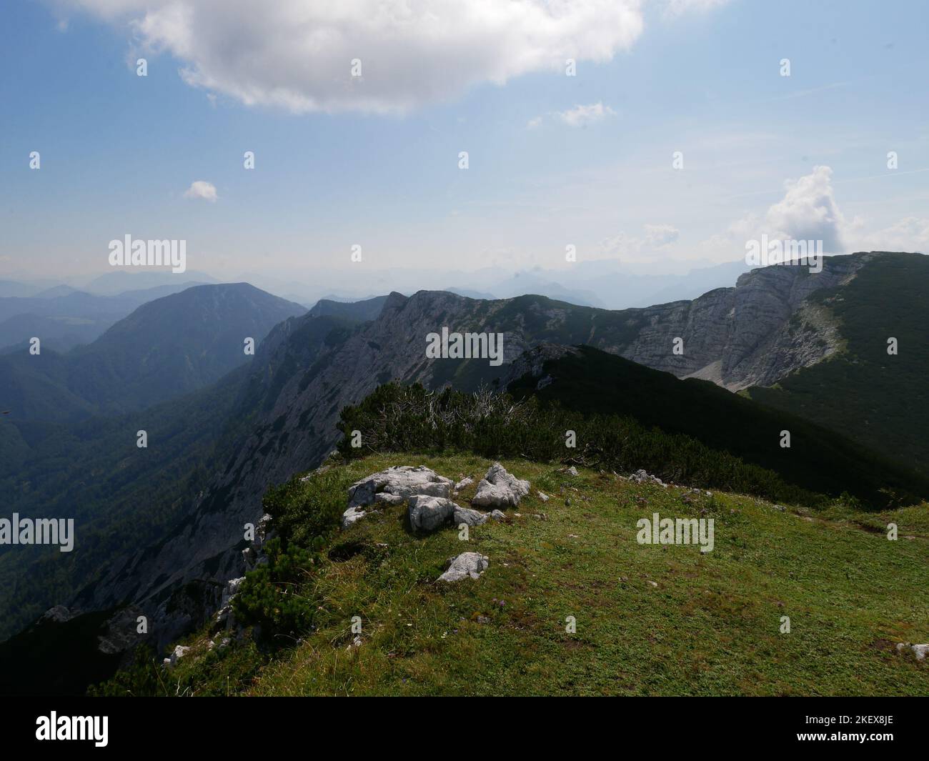 Wild Alpine Landscape images and wild alpine flowers of the Kalkalpen National Park ...