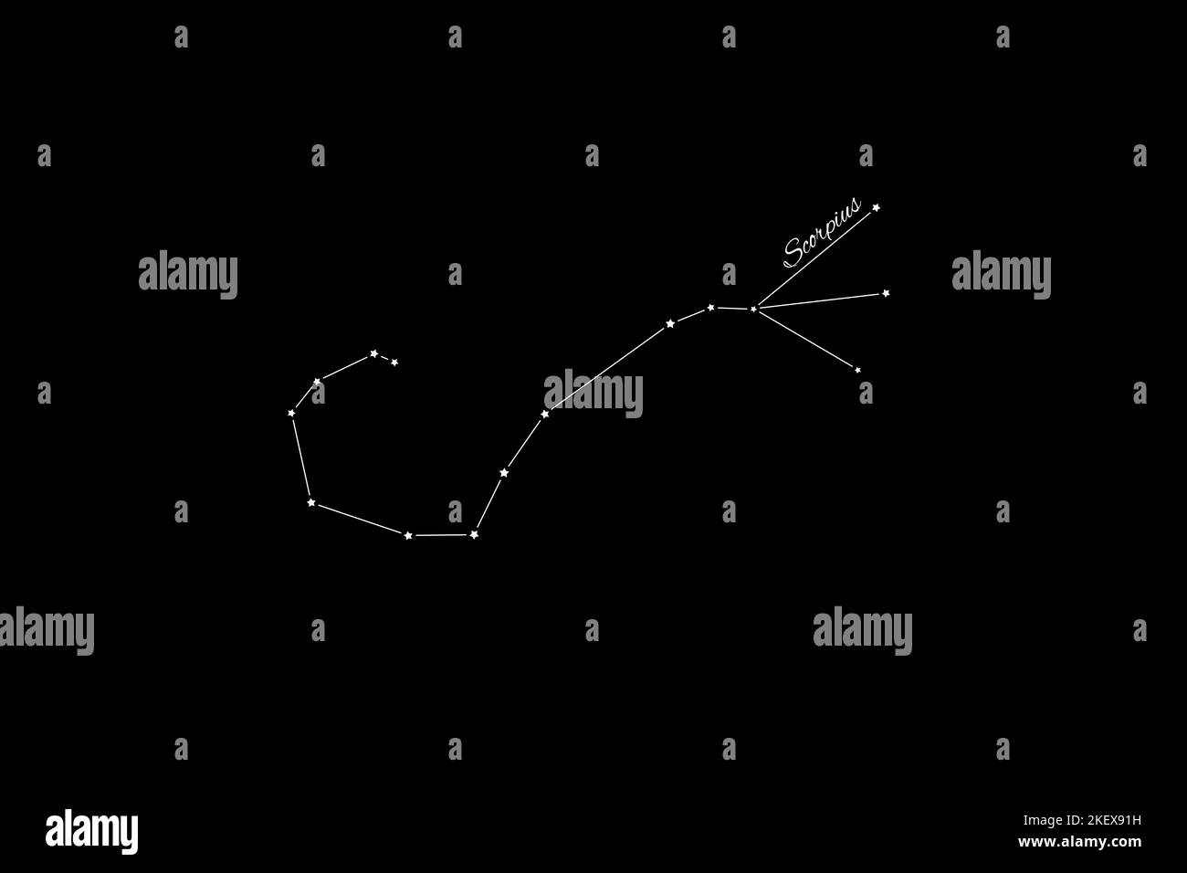 Scorpius constellation, Cluster of stars, Scorpion Constellation Stock ...