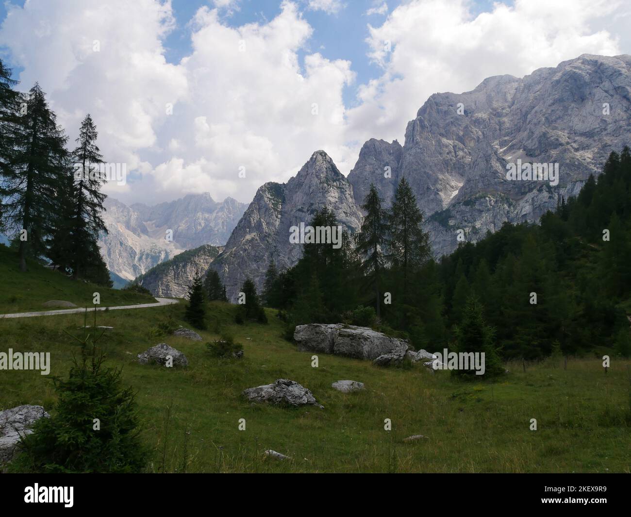 Wild Alpine Landscape images and wild alpine flowers of the Julian Alps in Slovenia ...