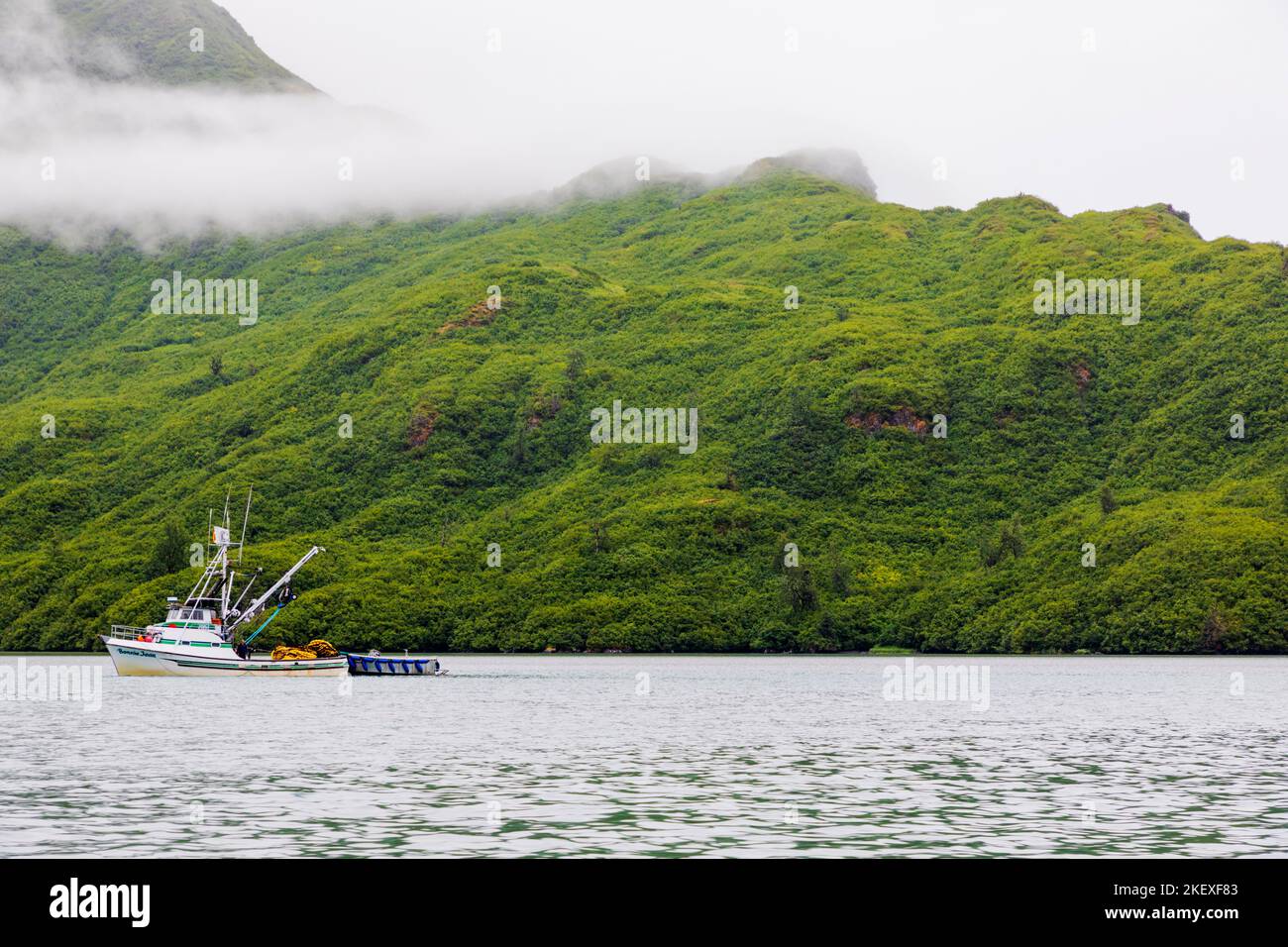 Commercial fishing boats; Valdez Arm; Prince William Sound; Alaska; USA Stock Photo