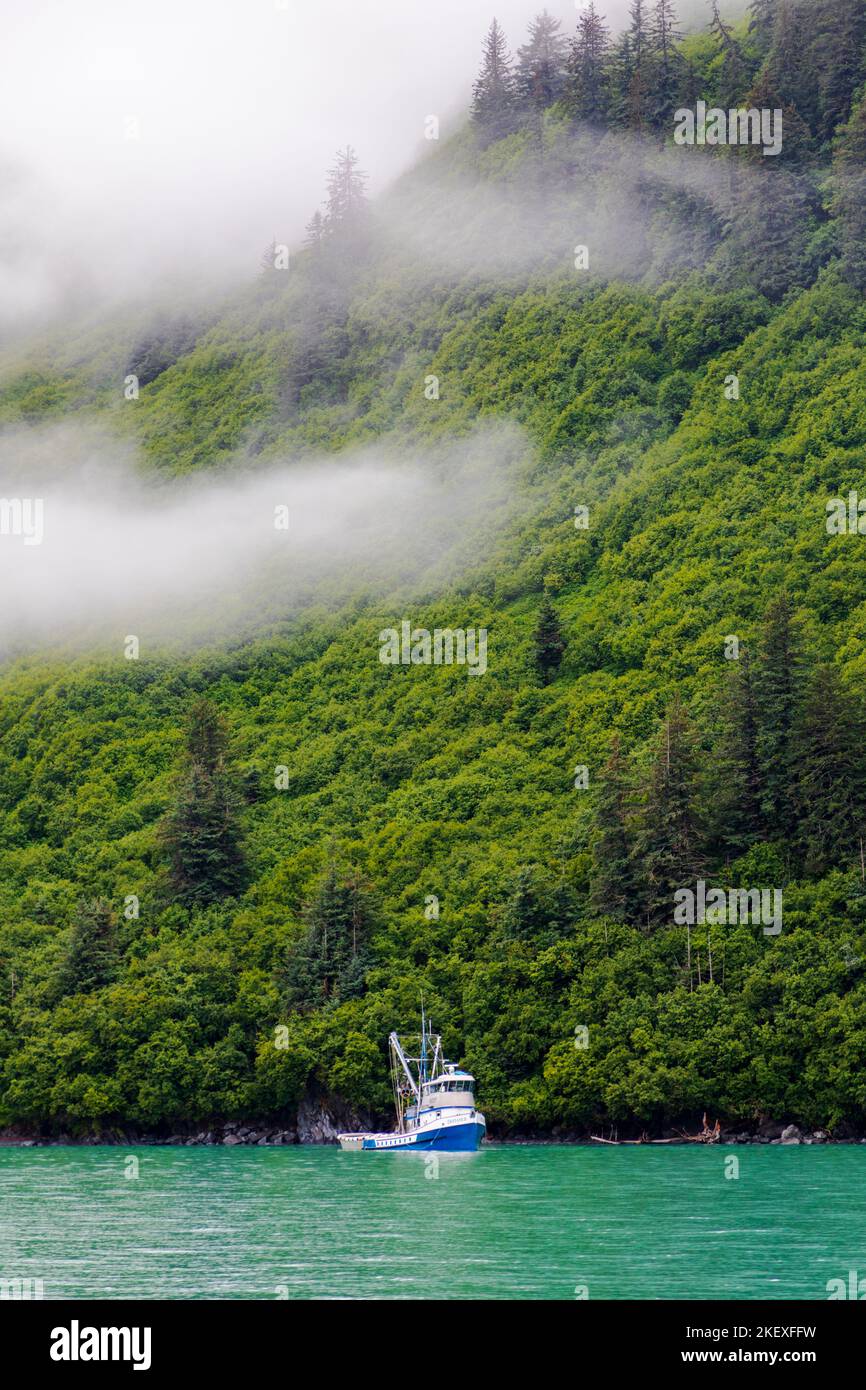 Commercial fishing boats; Valdez Arm; Prince William Sound; Alaska; USA