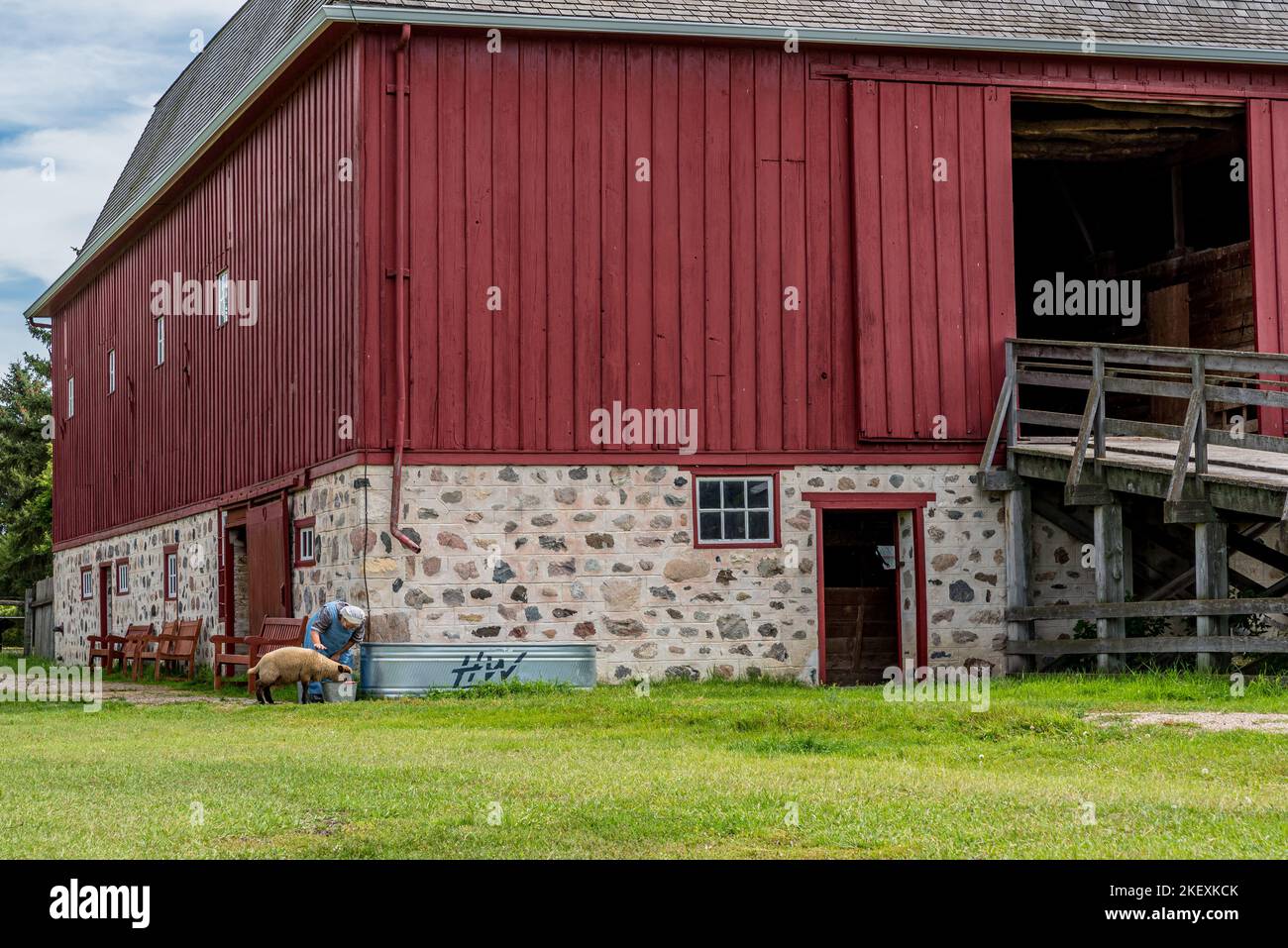 SK Aug. 21, 2022 A woman in period costume feeding a sheep