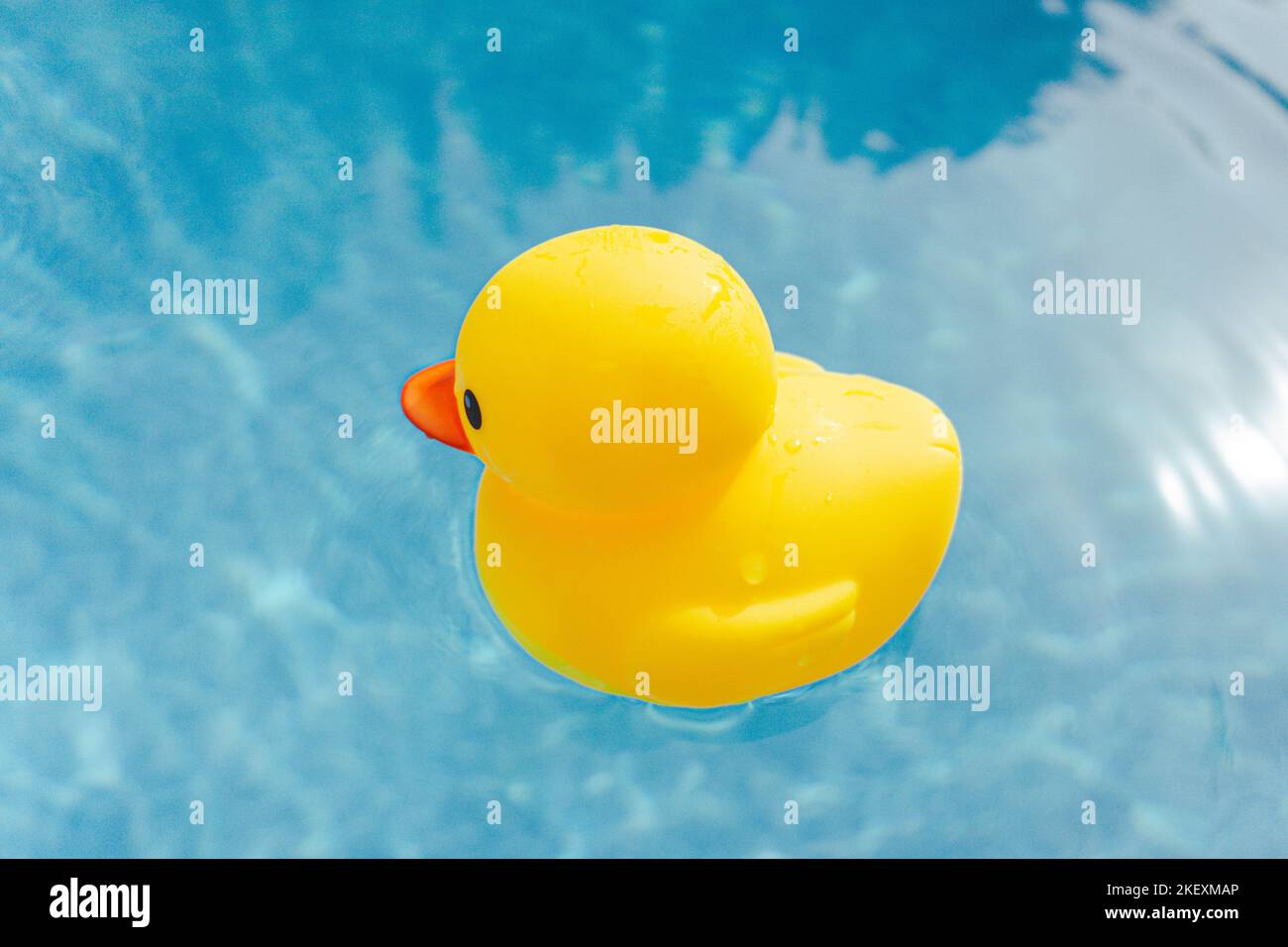 Yellow rubber duck afloat in outdoor swimming pool Stock Photo