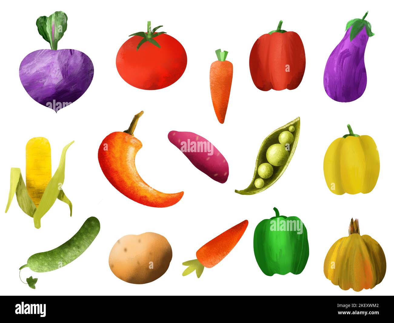 Illustration set of vegetables isolated on white background Stock Photo