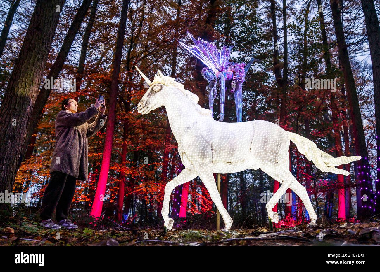 Stockeld park christmas hires stock photography and images Alamy