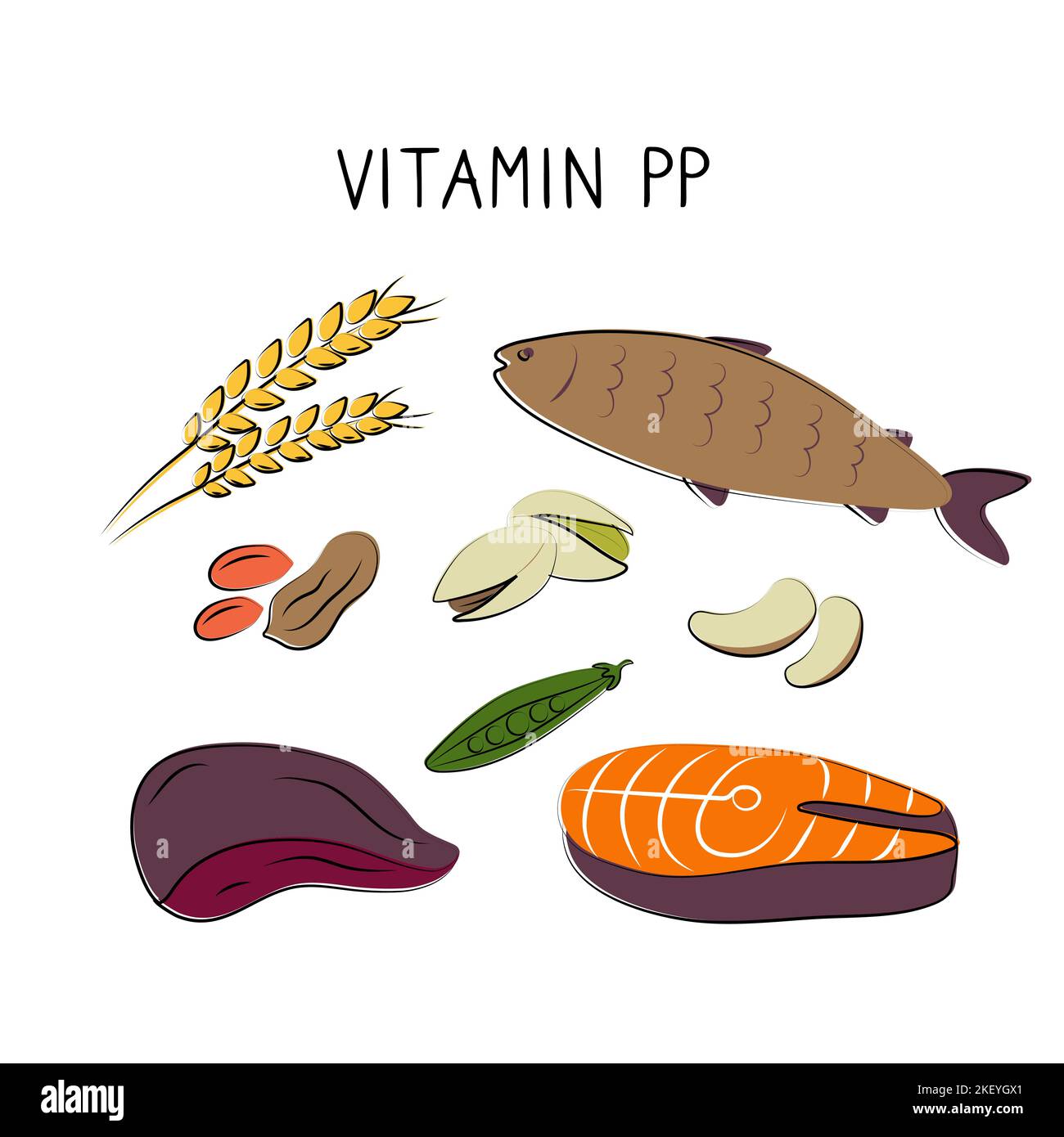 Vitamin B3 Niacinamide Vitamin PP niacin Nicotinamide. Groups of healthy products containing vitamins. Set of fruits, vegetables, meats, fish and Stock Vector