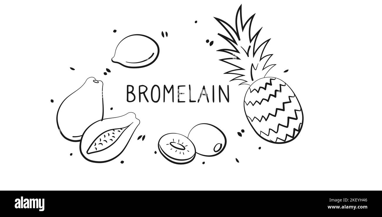 Bromelaincontaining food. Groups of healthy products containing