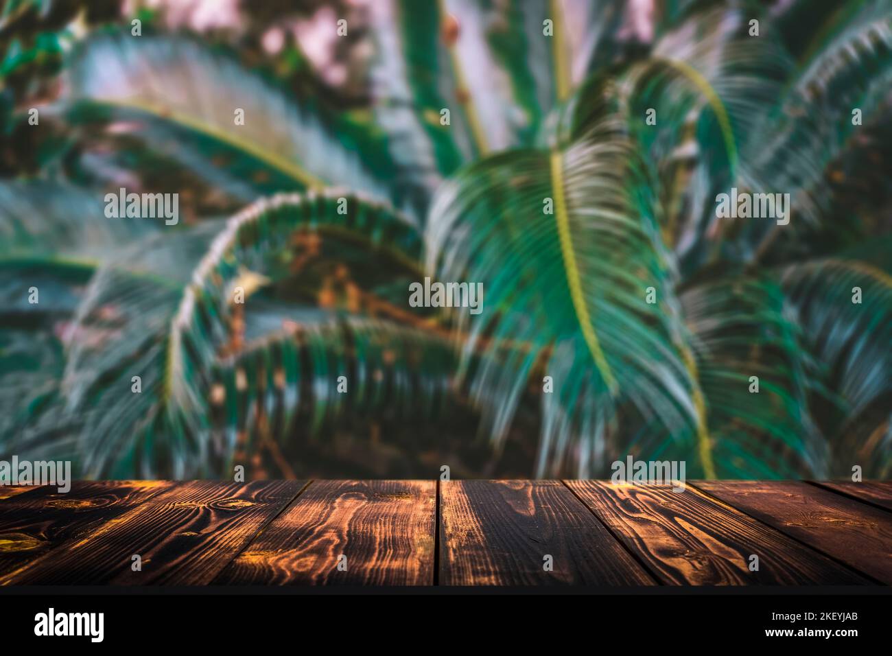 Jungle table background. Rustic wooden table against the backdrop of tropical plants, palms and jungle. . High quality photo Stock Photo