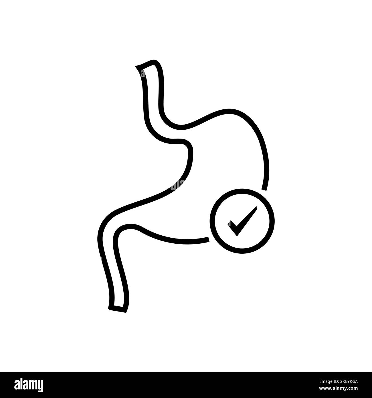 Stomach and check mark. Symbol of good digestion. Isolated vector ...