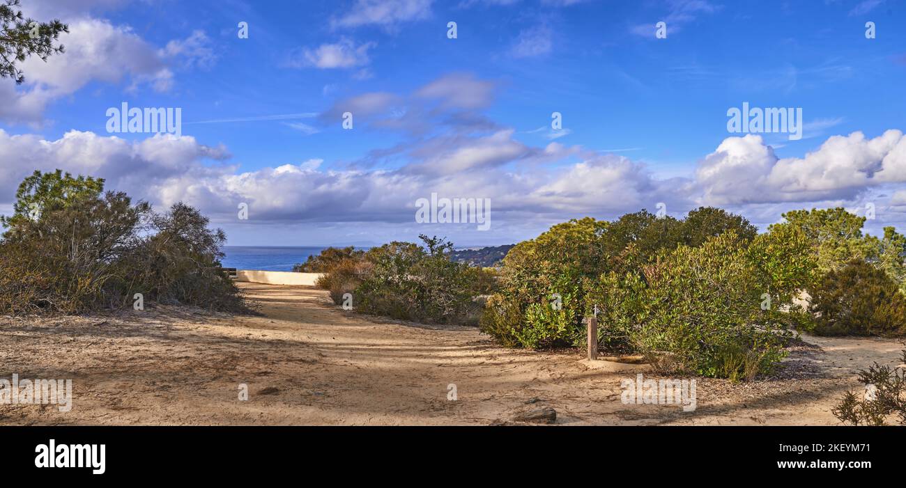 Torrey Pines State and Beach Park - San Diego, California, USA. The beautiful Torrey Pines Park, San Diego, California. Stock Photo