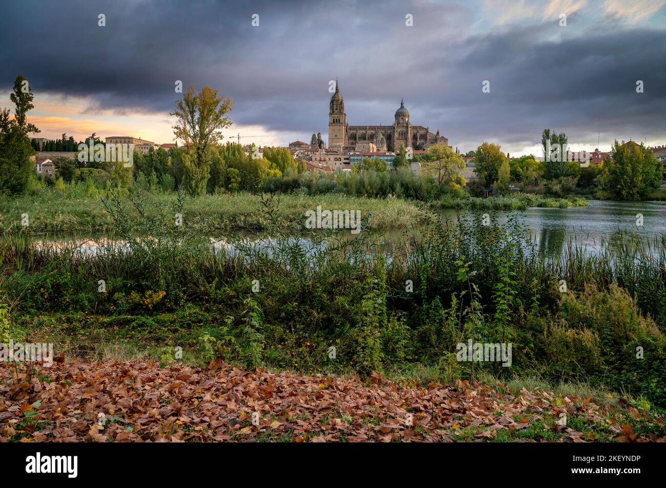 New Cathedral of Salamanca from the bank of the riber Tormes. Castile Leon, Spain Stock Photo