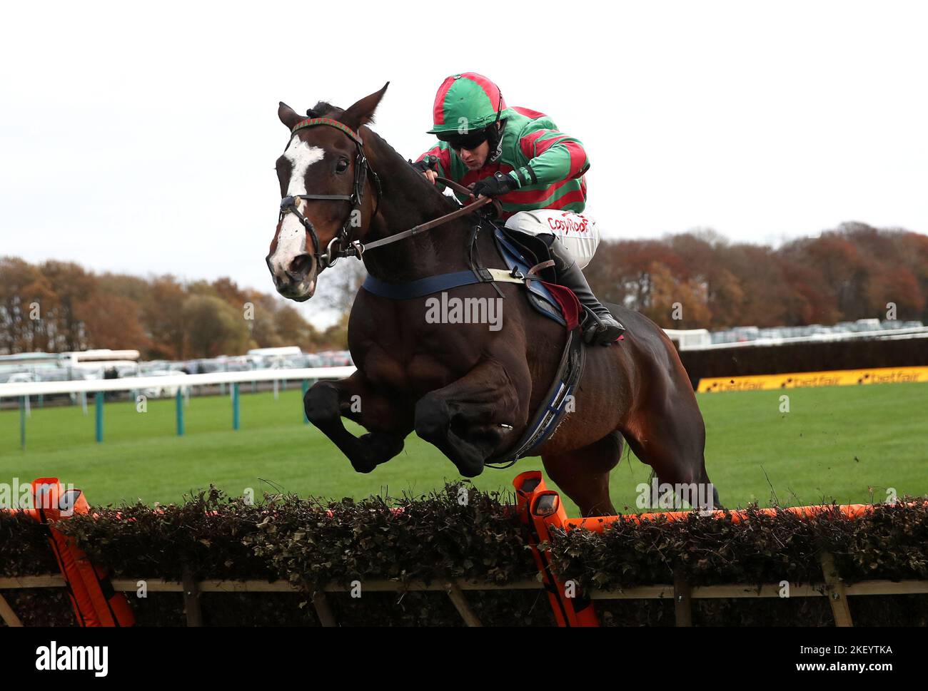 File photo dated 20-11-2021 of Tommy's Oscar, who Ian Hamilton admits he is in a quandary over where to run after he chased home Banbridge in the Arkle Challenge Trophy Trial at Cheltenham on Saturday. Issue date: Tuesday November 15, 2022. Stock Photo