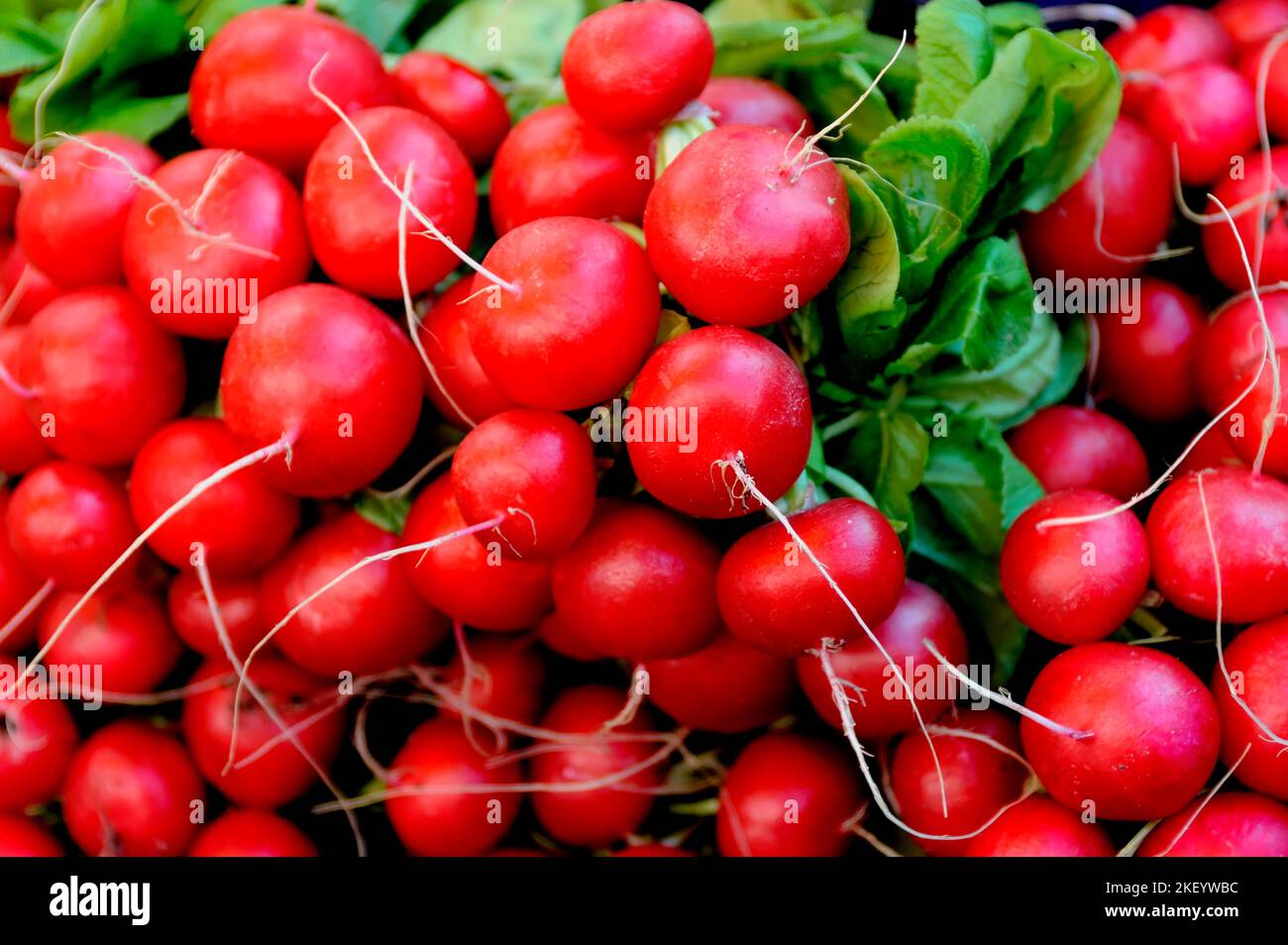 radishes on a market stall Stock Photo