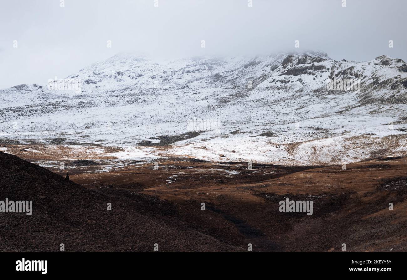 Kari lake hi-res stock photography and images - Alamy