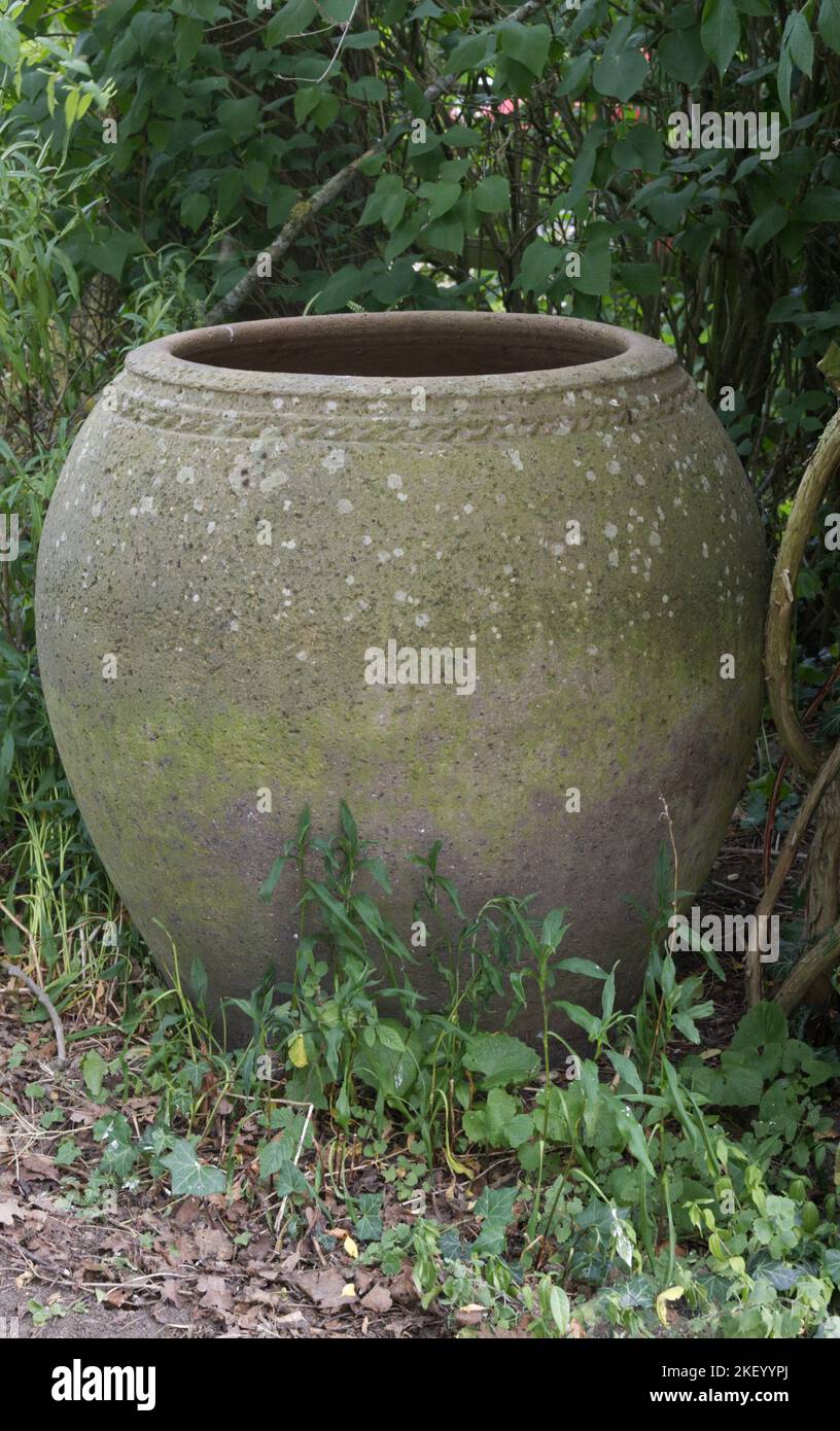 Large ali baba garden pot Stock Photo