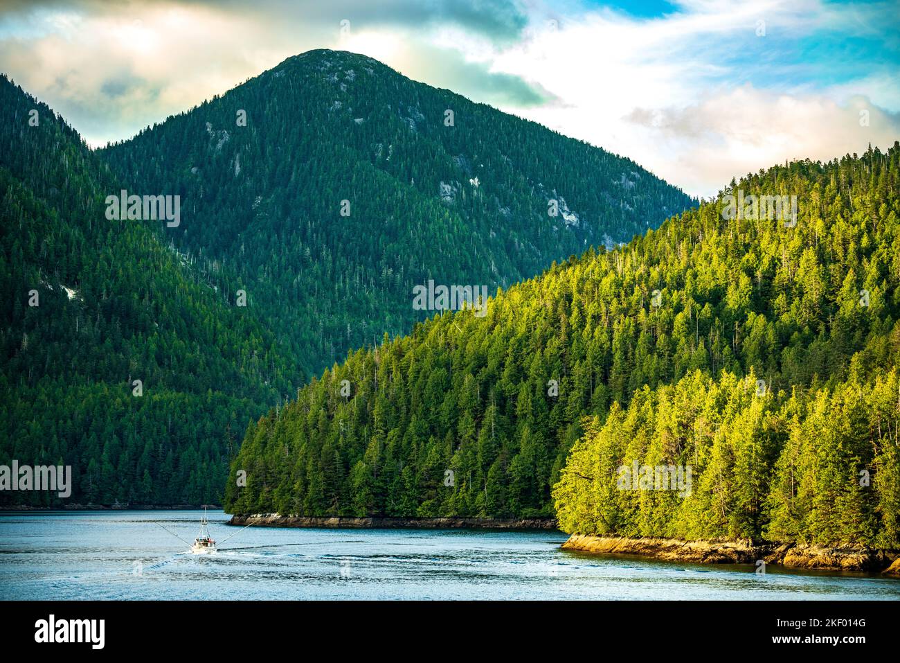 Inside Passage in Canada, inlet and forest Stock Photo