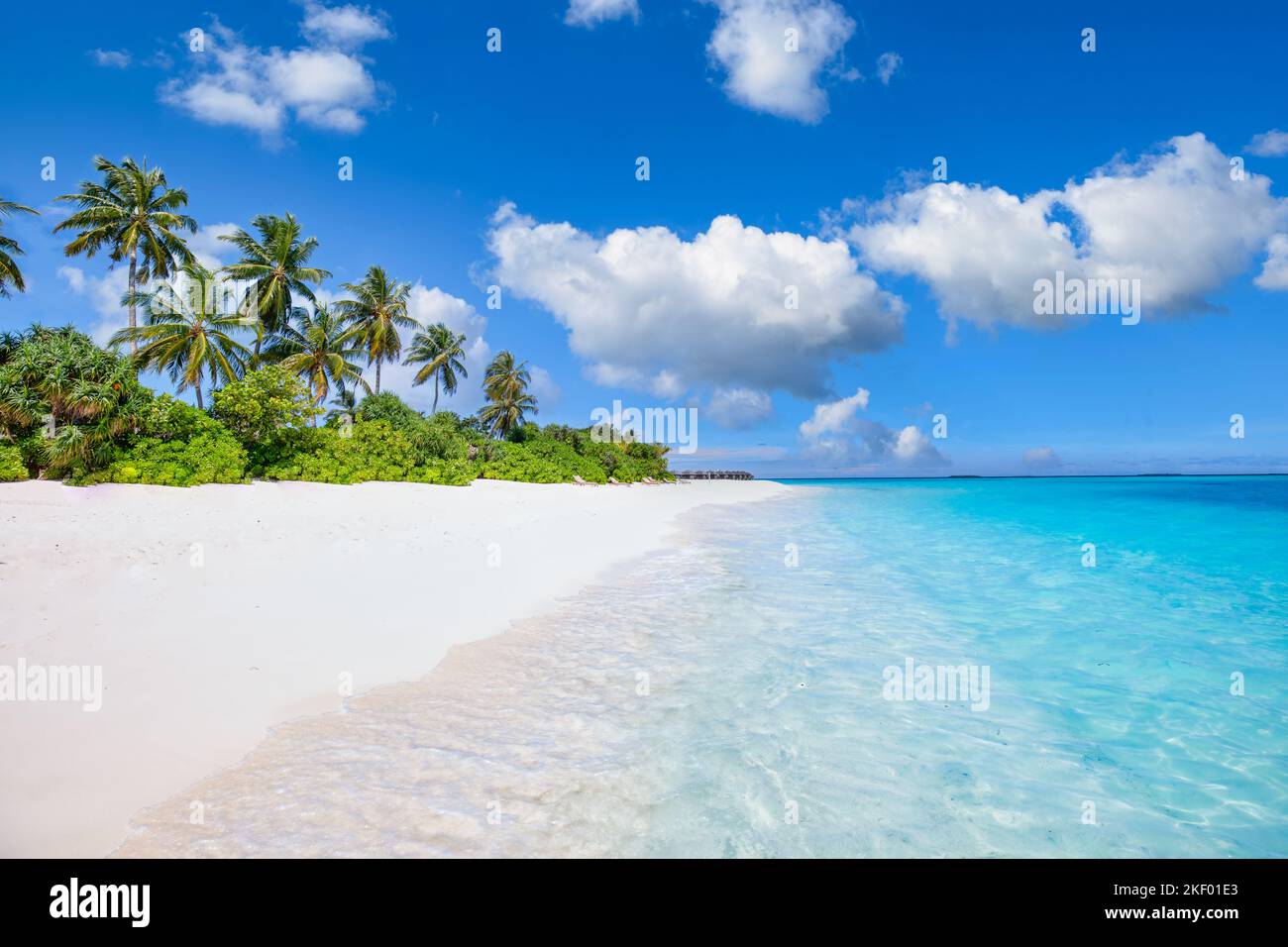 Beautiful palm trees on tropical island beach blue sky with white ...
