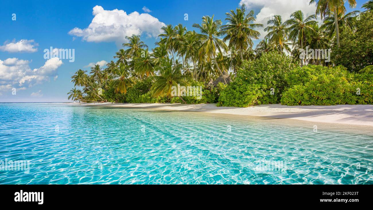 Beautiful palm trees on tropical island beach blue sky with white ...