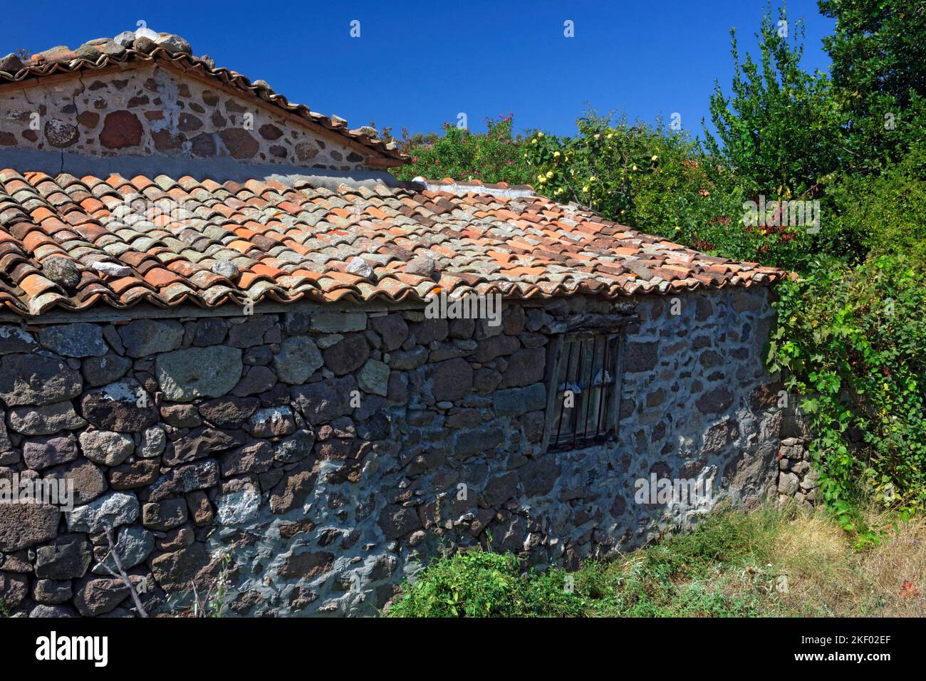 Shed in field, Anaxos, Lesbos, Northern Aegean Islands, Greece. Stock Photo