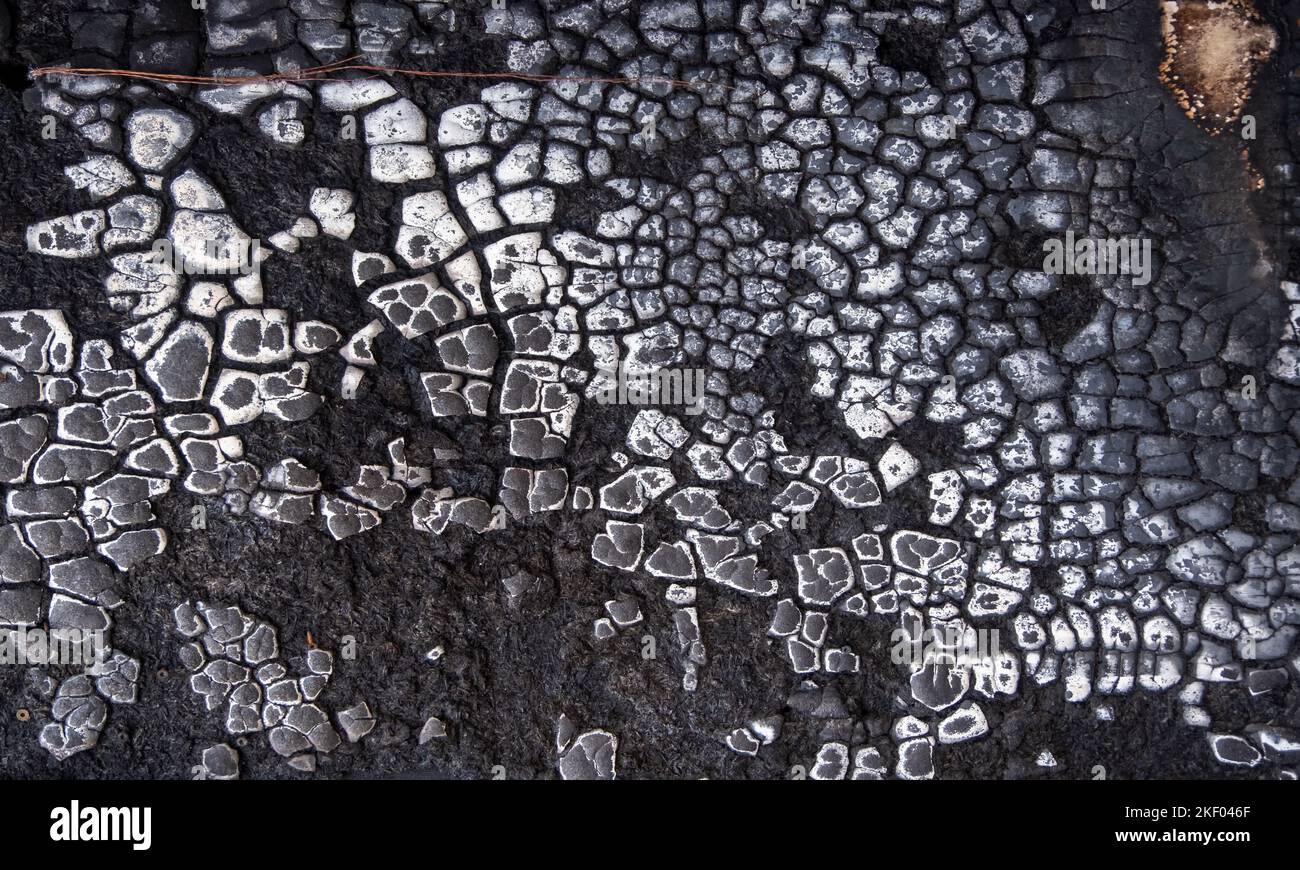 black and gray abstract pattern texture surface structure of a burnt