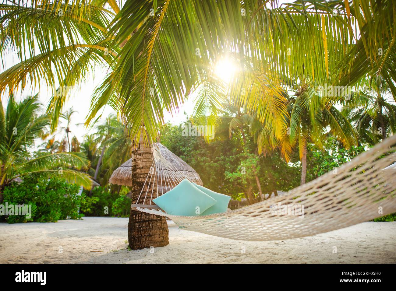 Ultimate relaxation, hanging hammock on palm tree with soft sun rays under palm leaves. Tropical island nature, paradise traveling destination, summer Stock Photo