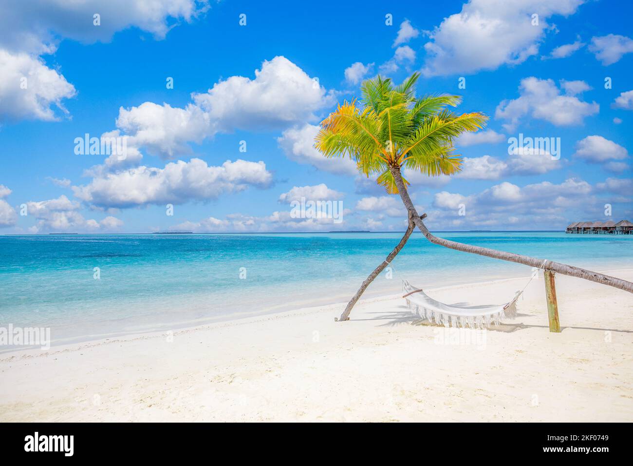 Scenic tropical beach as summer landscape with beach swing or hammock hanging on palm tree over white sand calm seaside view for beach banner Carefree Stock Photo