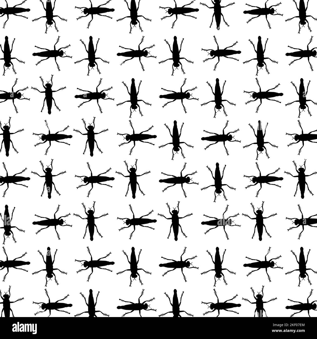 Flying insects silhouette drawing motif pattern Stock Photo - Alamy
