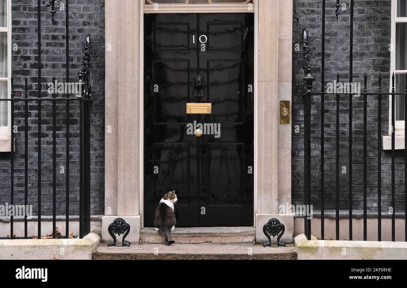 Larry the Cat, seen outside the entrance to 10 Downing Street, London, UK. Stock Photo