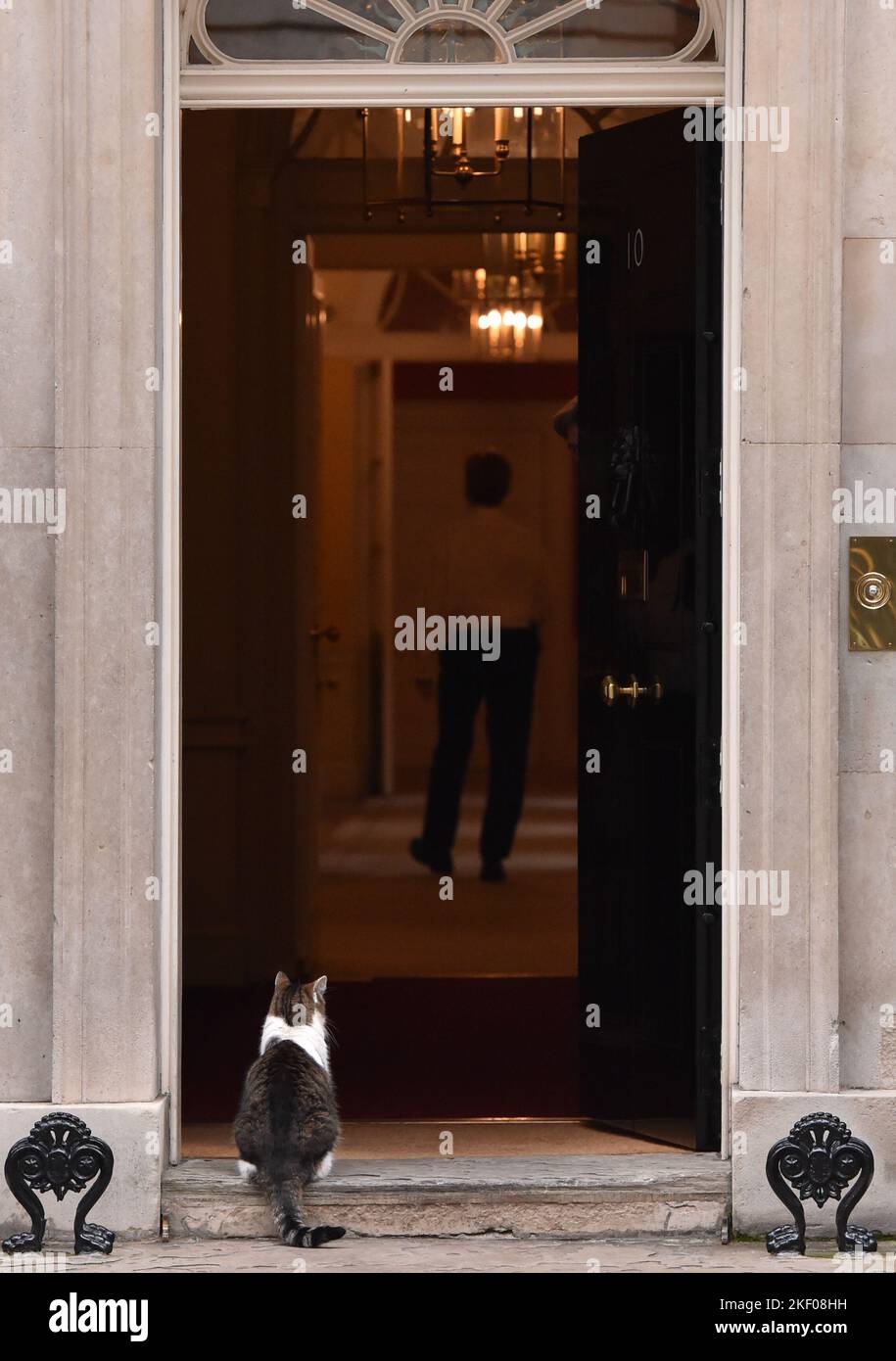 Larry the Cat, seen outside the entrance to 10 Downing Street, London