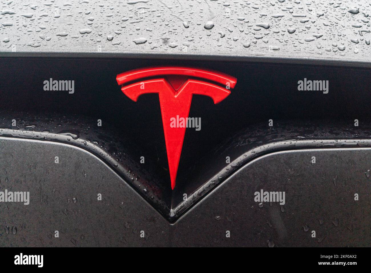 Tesla car logo Stock Photo - Alamy