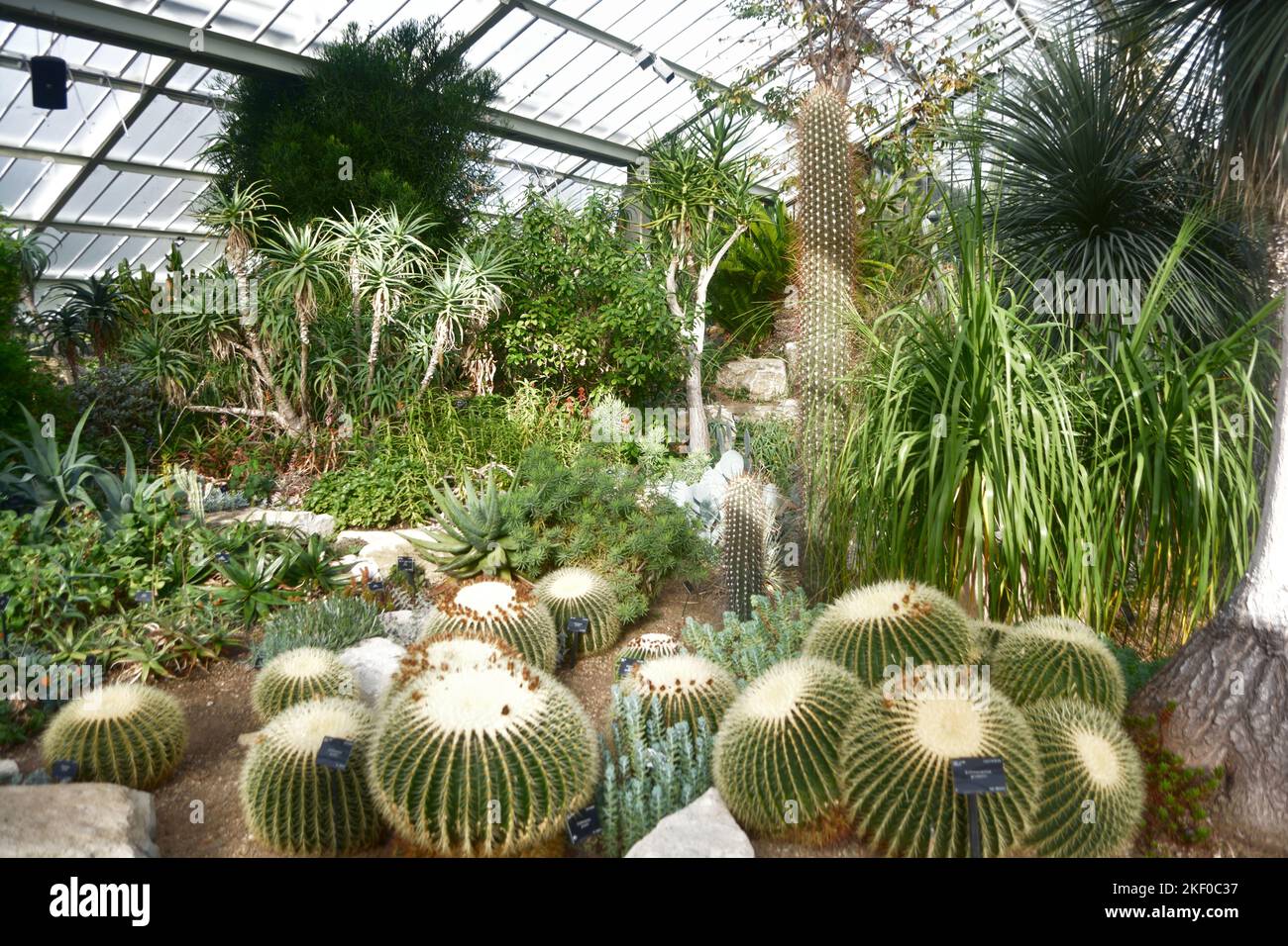 Princess Diana Conservatory in Kew Gardens, Kew, London, UK Stock Photo