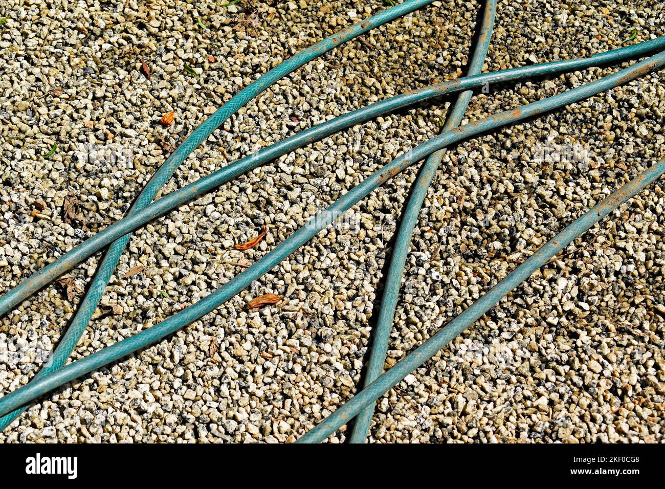 Green garden hose on the ground Stock Photo