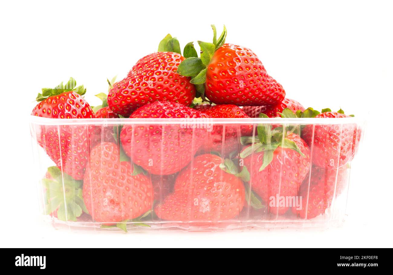 Tray fresh juicy strawberries hi-res stock photography and images - Alamy