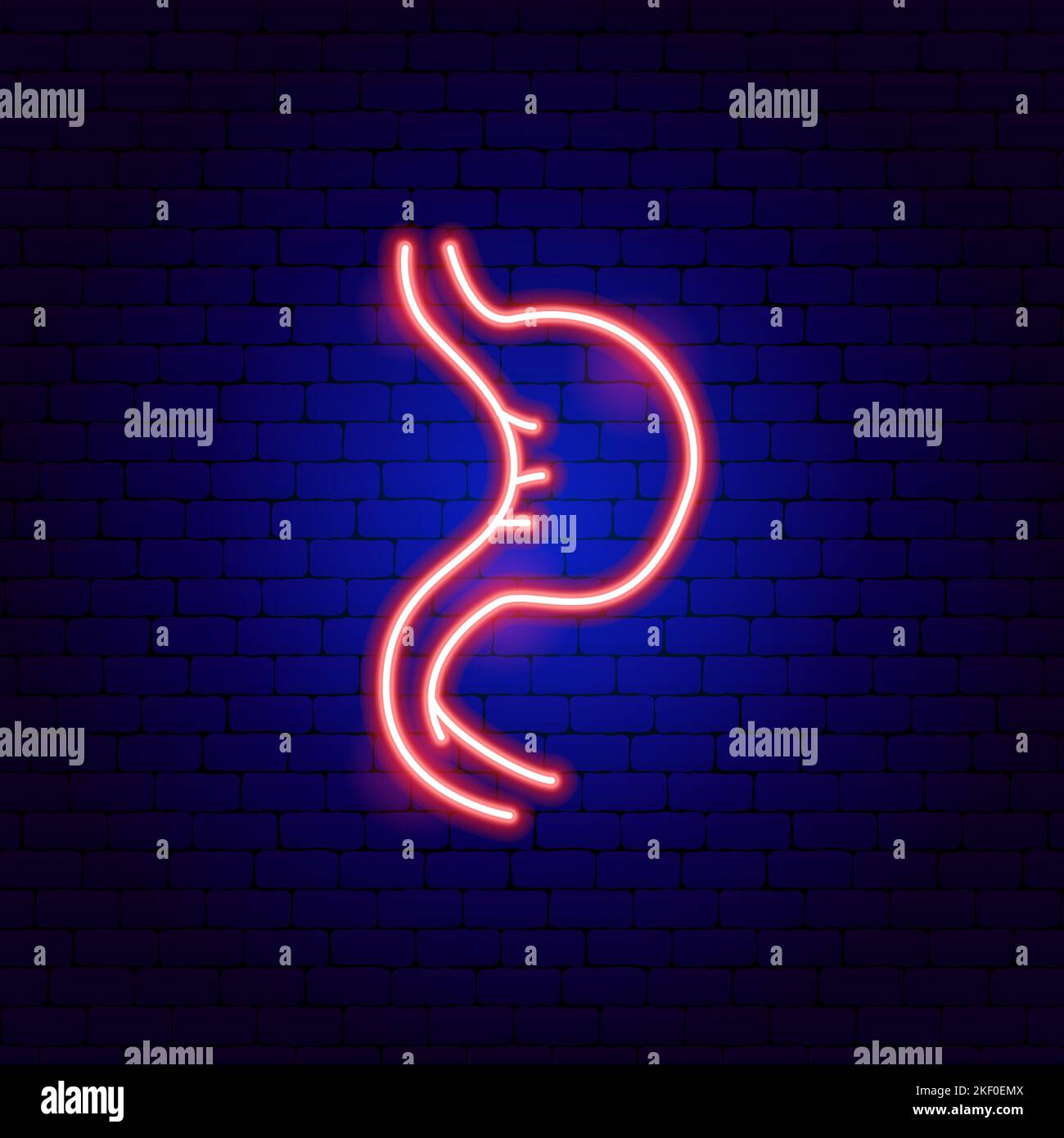 Stomach Neon Sign Stock Vector