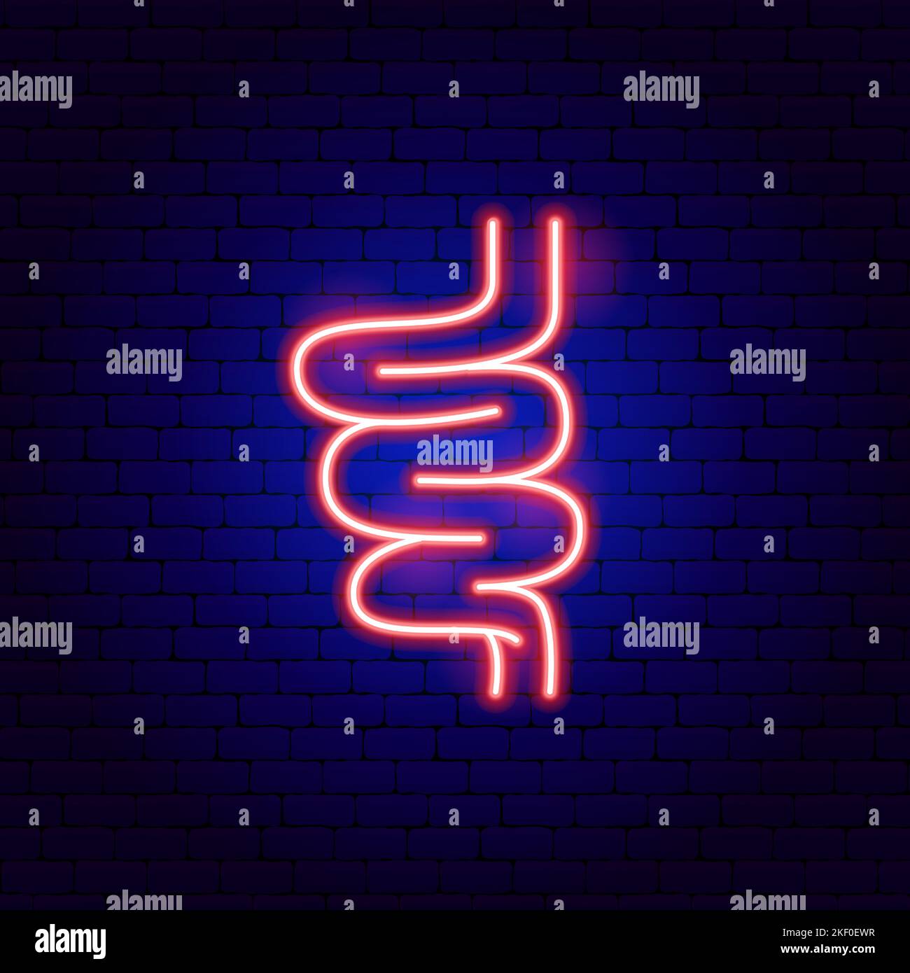 Intestines Structure Neon Sign Stock Vector